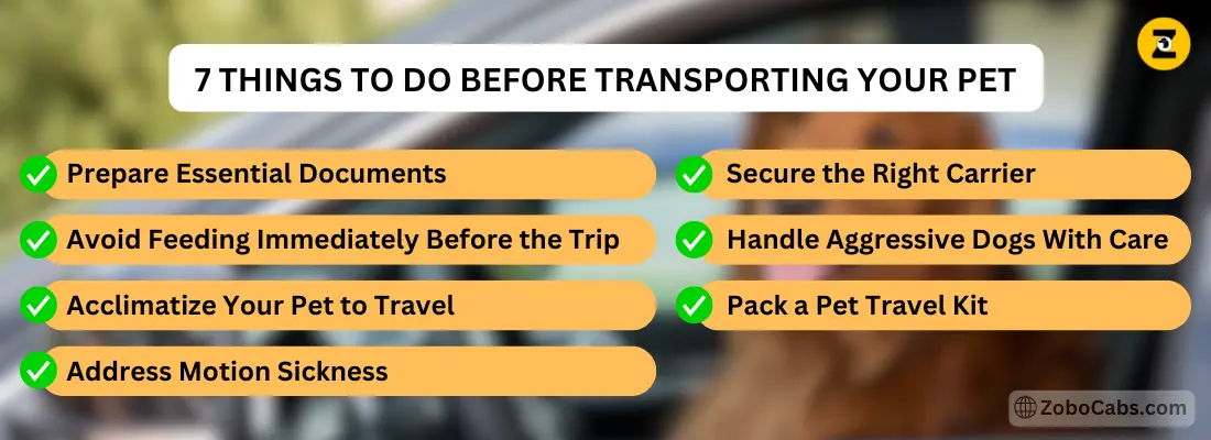 7 Things to Do Before Transporting Your Pet