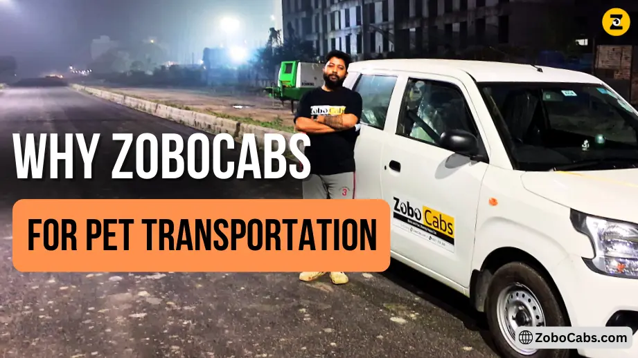 Why choose Zobocabs for your transportation needs