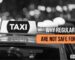 Why Regular Taxis Are Not Safe for Your Furry Friends